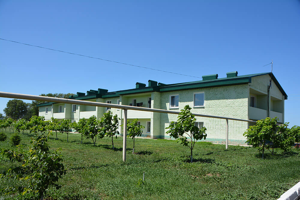 DSC 2539